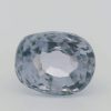 N SPINEL 4.76 GS_01931fb1-f5cd-7224-a44b-2a37952814cb.original