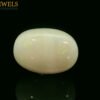 OPAL 6.00 GS2800_01968af9-0280-7ee3-a71b-42a6de168860.original