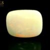 OPAL_11.05CTS_GS5000_2[1]